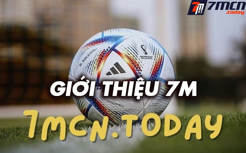 Giới thiệu mingaong.com.co